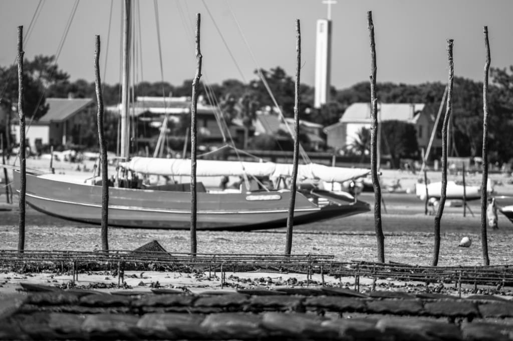 _GBM7297