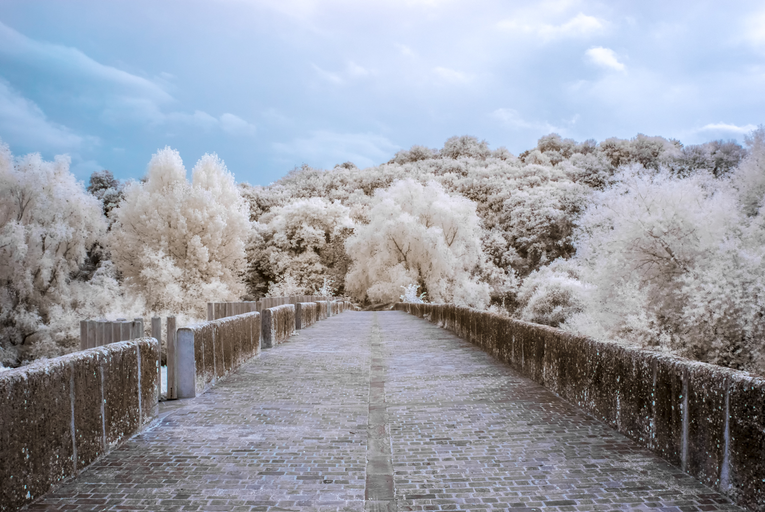 _DIR0857-Editar-Editar