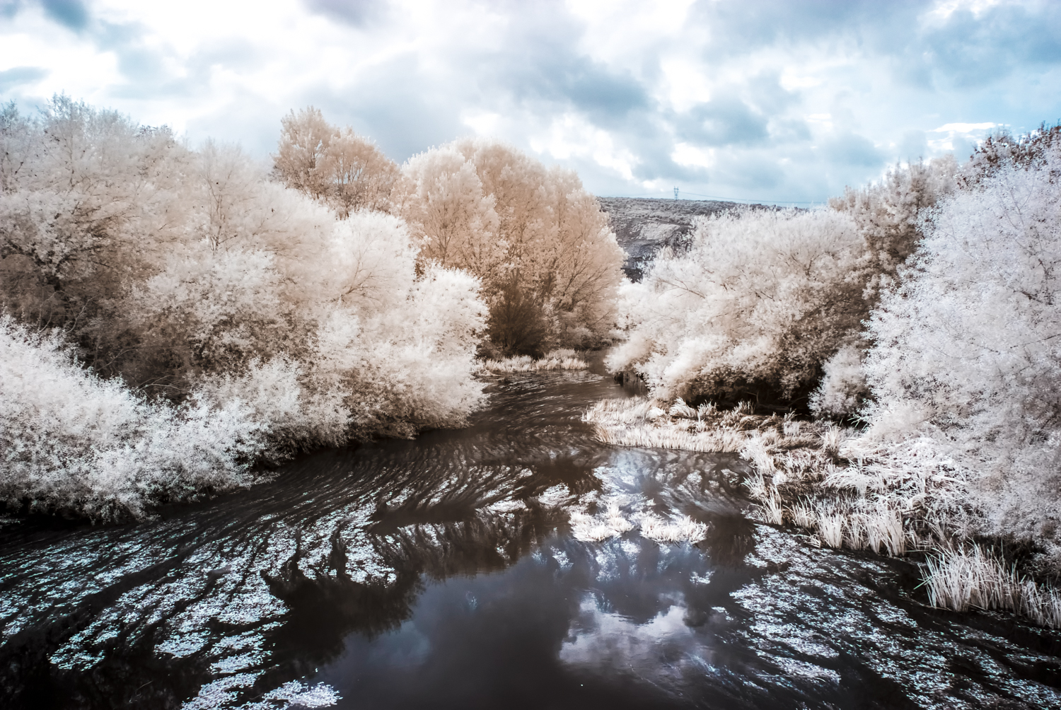 _DIR0868-Editar-Editar