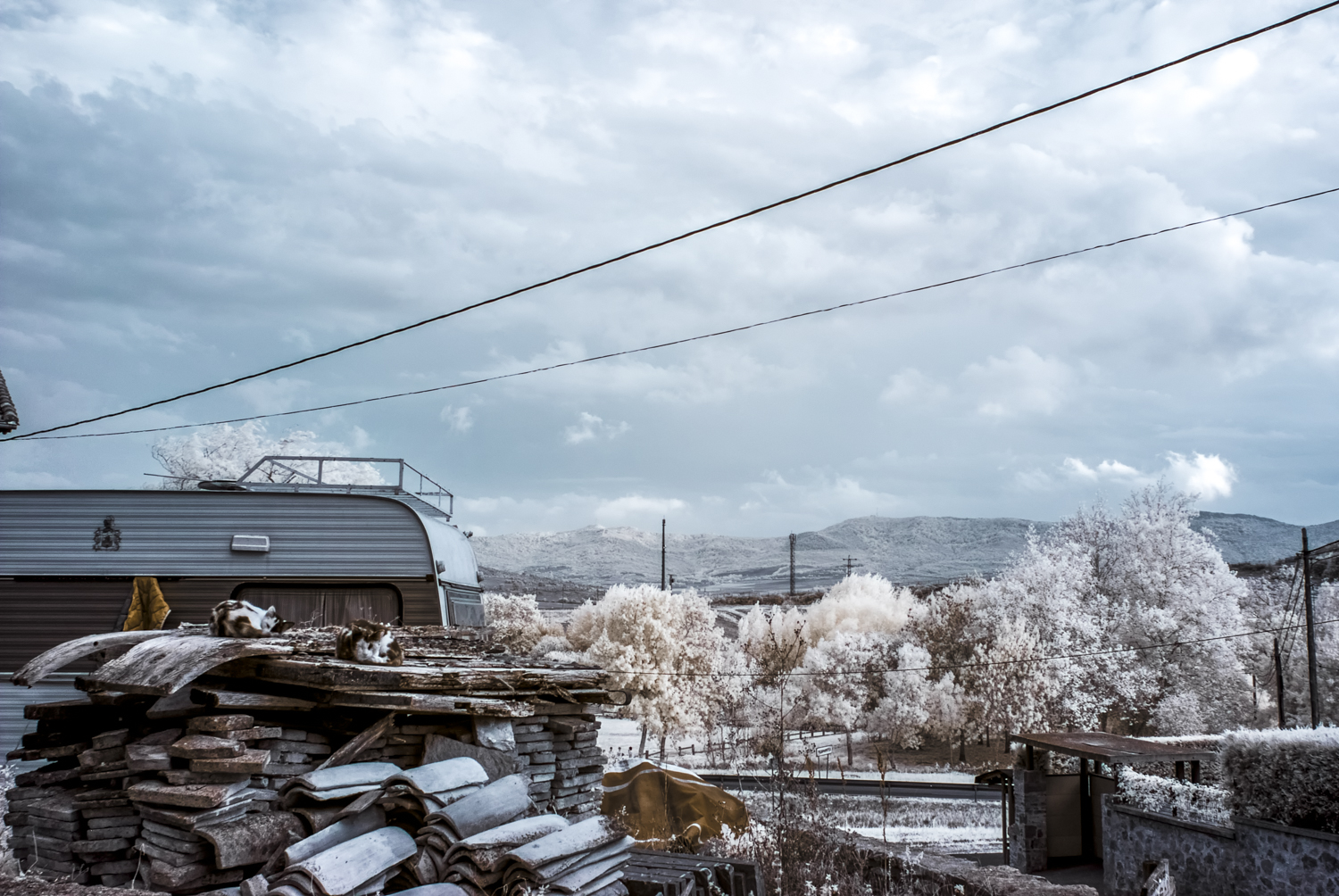 _DIR0897-Editar-Editar