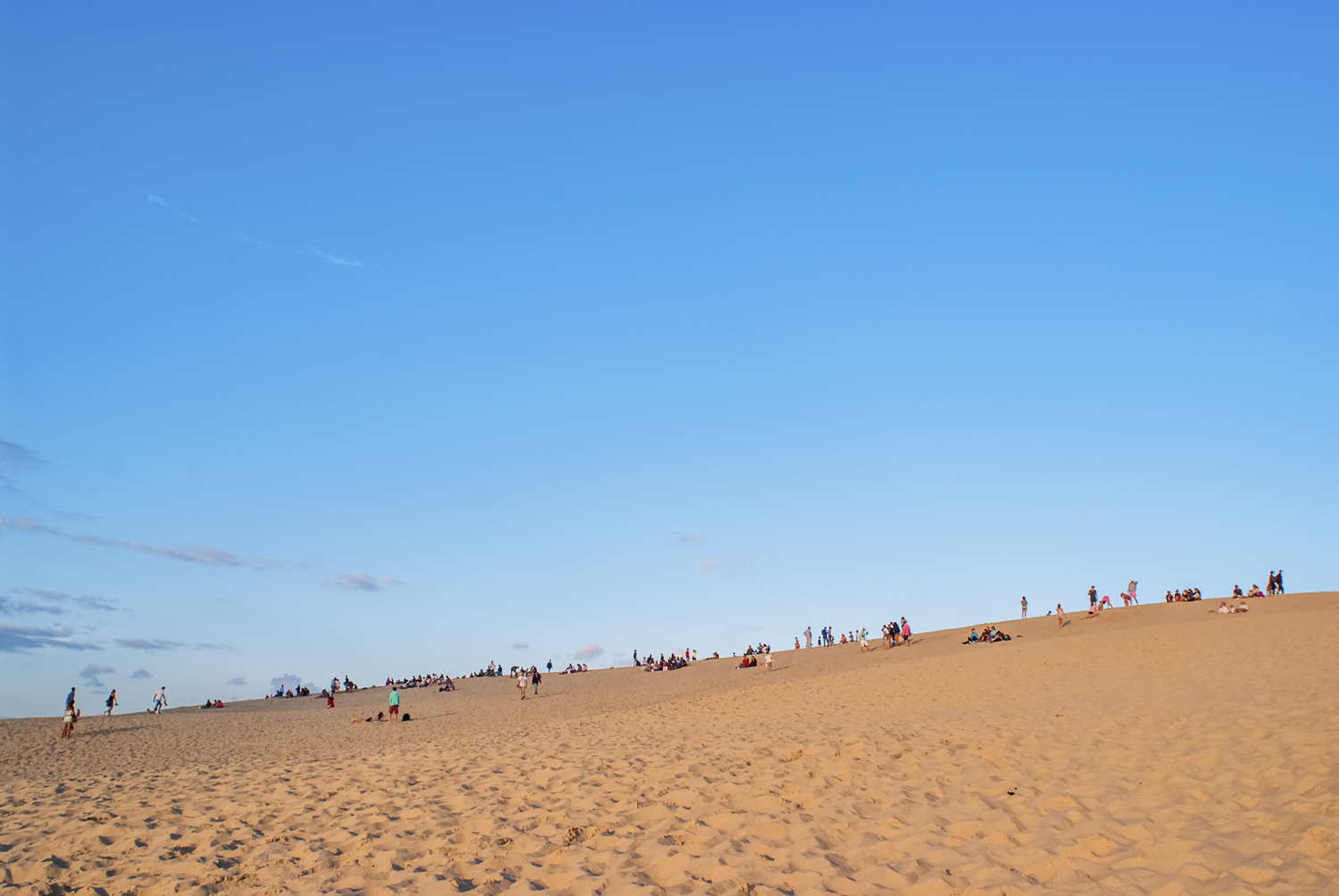 _DSF0608-Editar-Editar