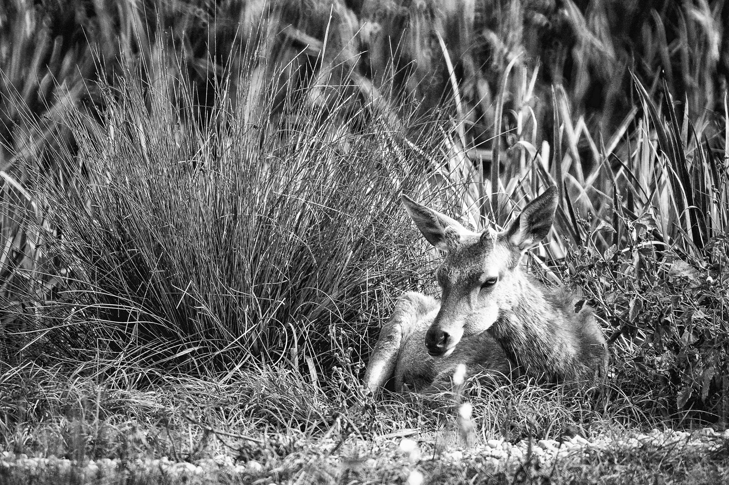 _GBM1019-Editar-Editar-Editar-2