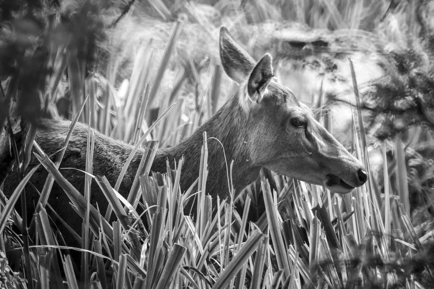 _GBM1044-Editar-Editar-2