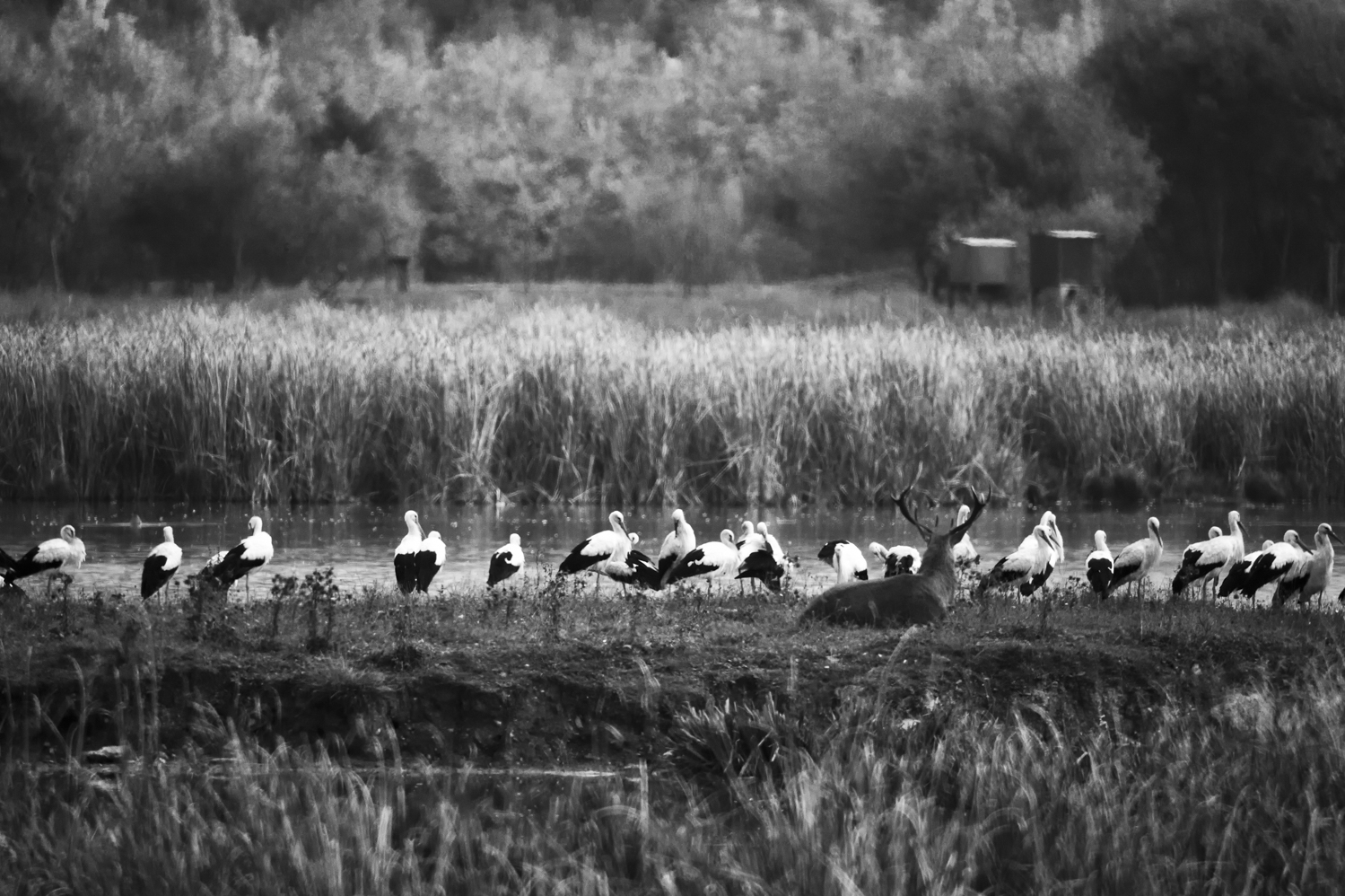 _GBM1133-Editar-Editar-2