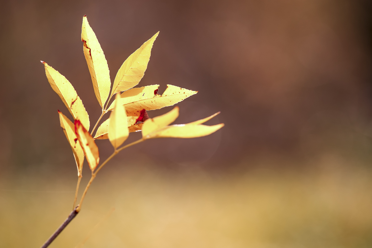 _GBM5562-Editar-Editar