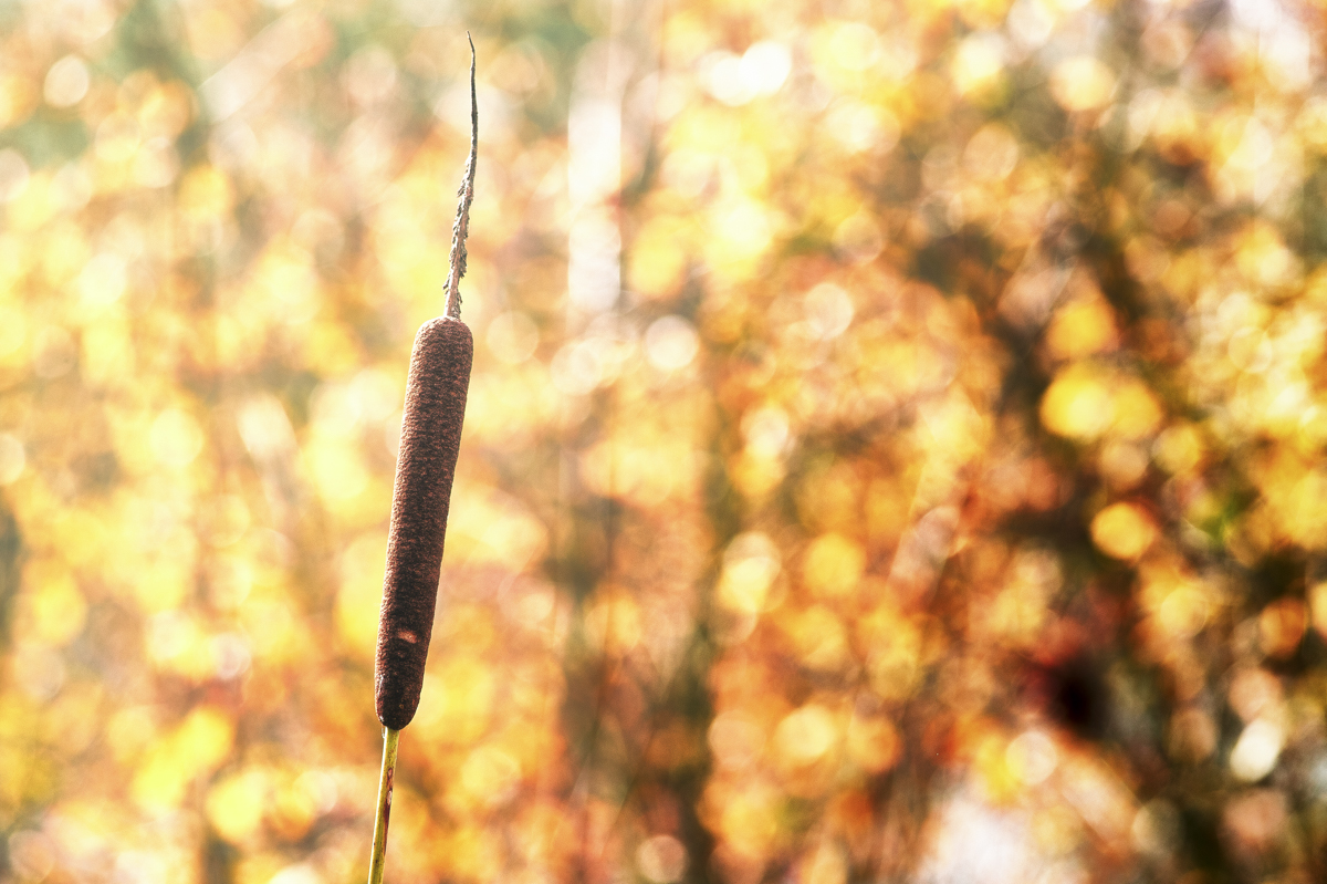 _GBM5564-Editar-Editar