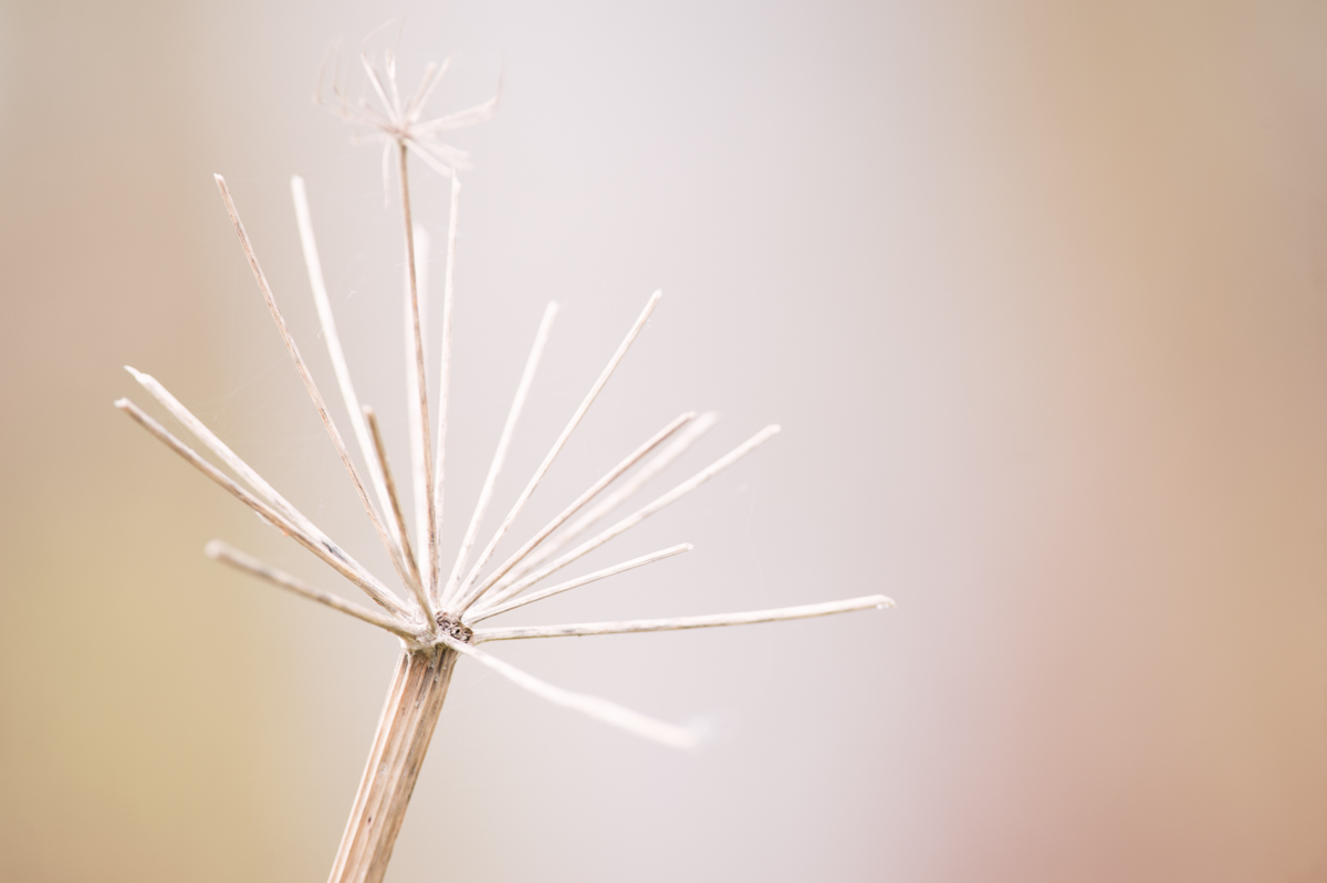 _GBM5576-Editar-Editar