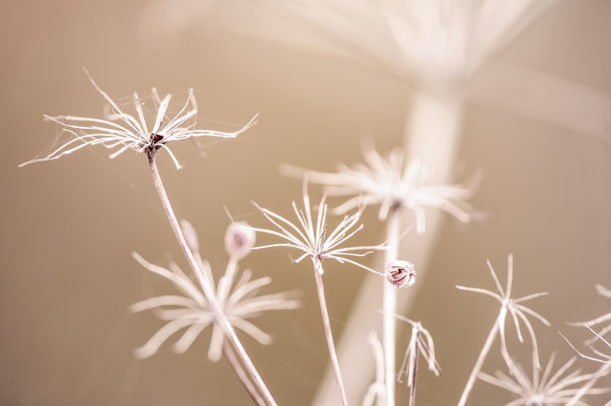 _GBM5602-Editar-Editar