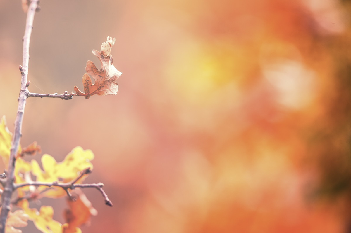 _GBM5638-Editar-Editar-Editar