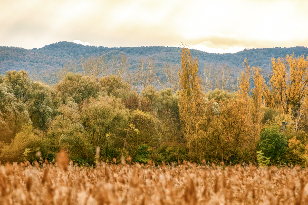 _GBM5664-Editar-Editar