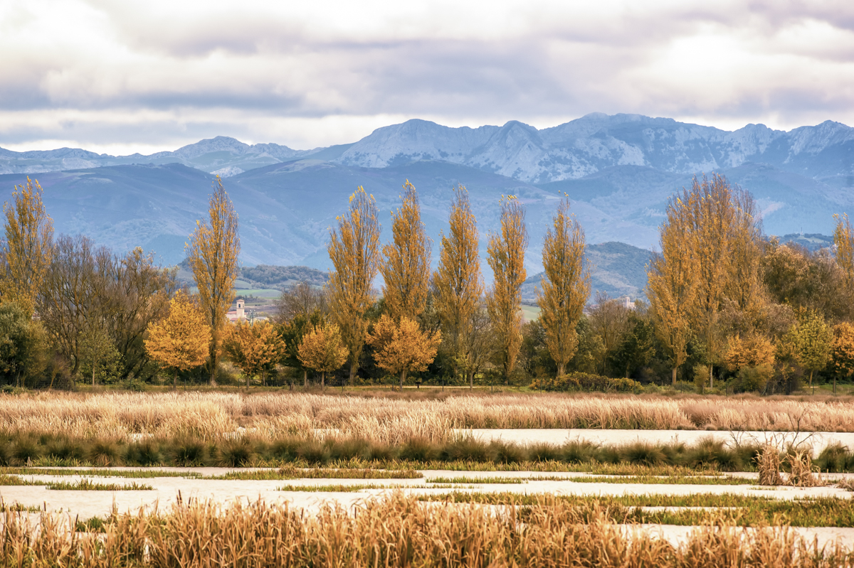 _GBM5678-Editar-Editar-Editar