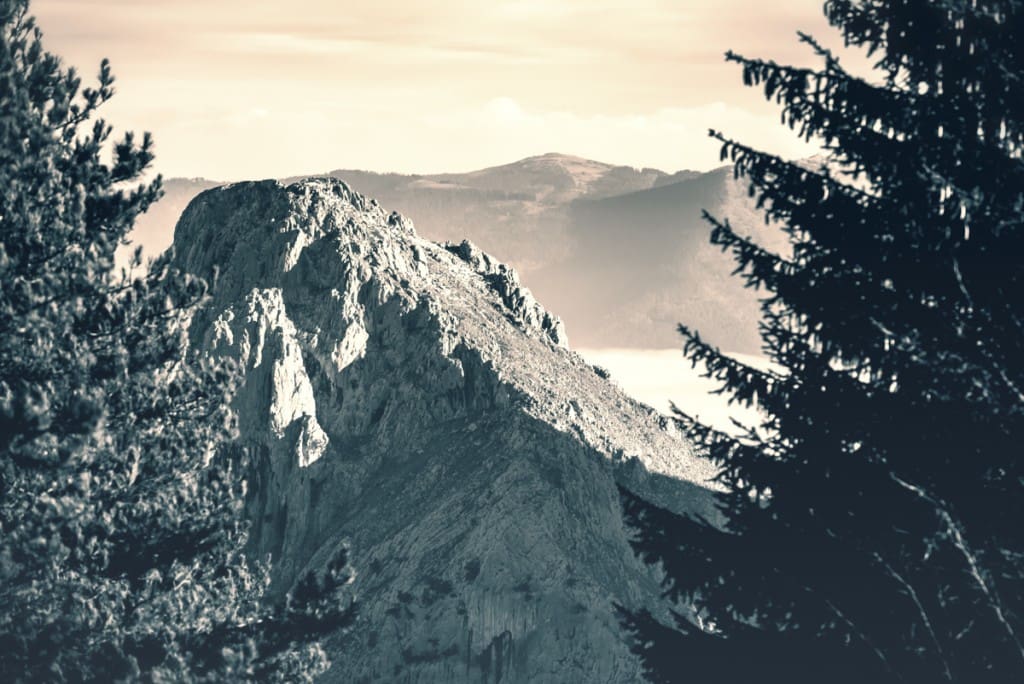 _FTG4390-Editar