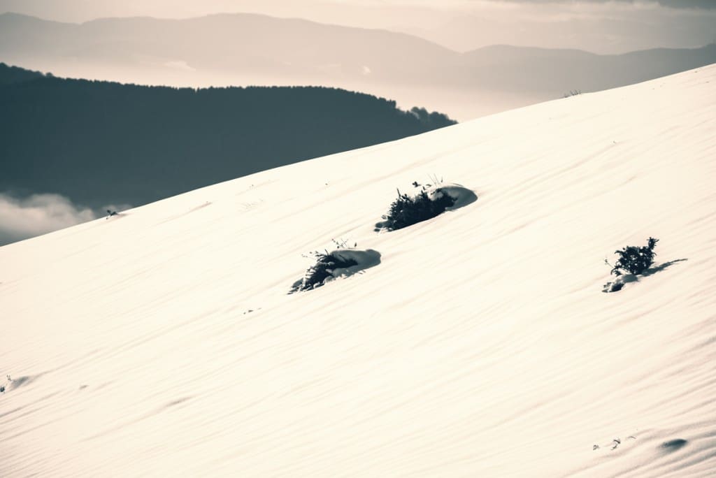 _FTG4420-Editar