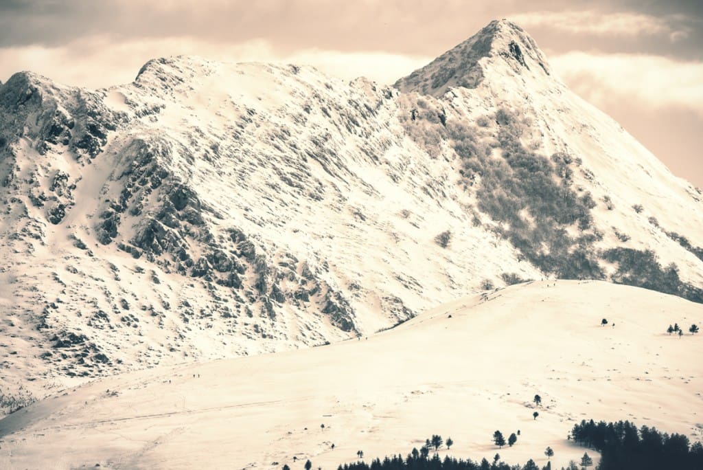 _FTG4433-Editar