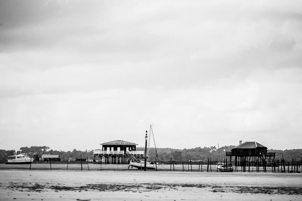 _GBM6679-2