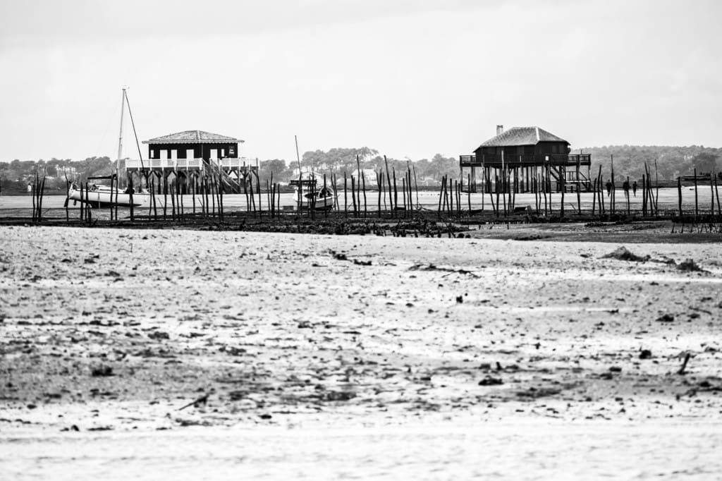 _GBM6686-2