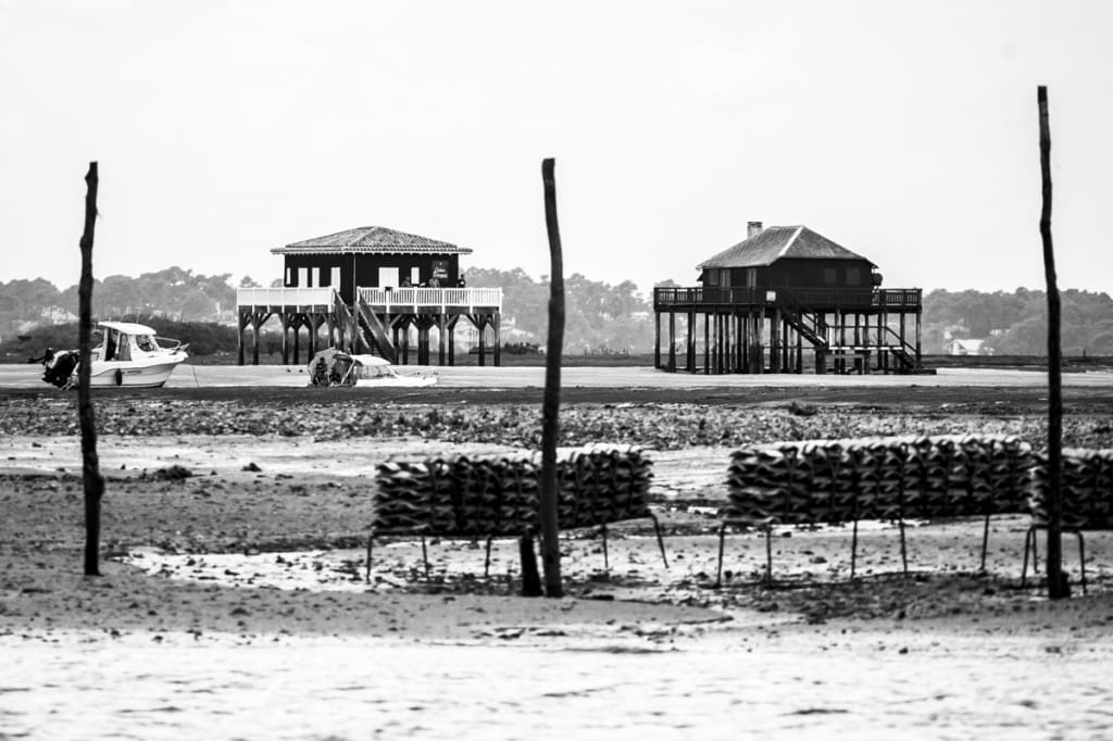 _GBM6728-2