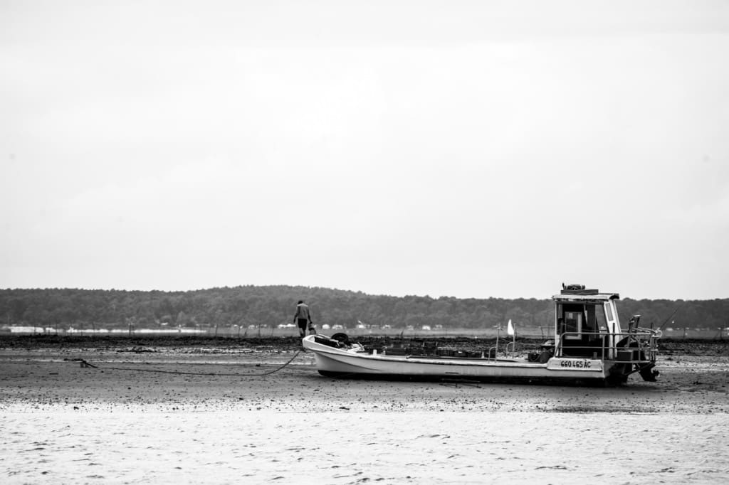 _GBM6736-2