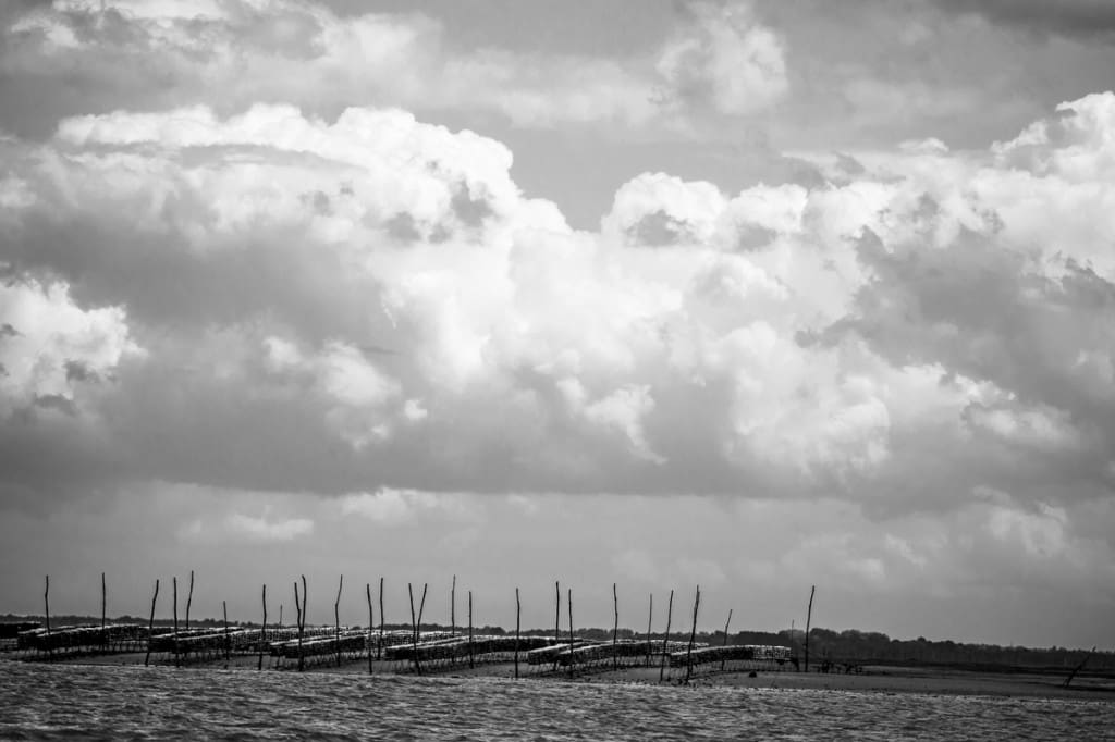 _GBM6743-2