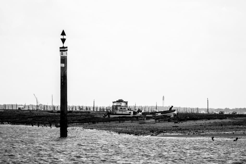_GBM6750