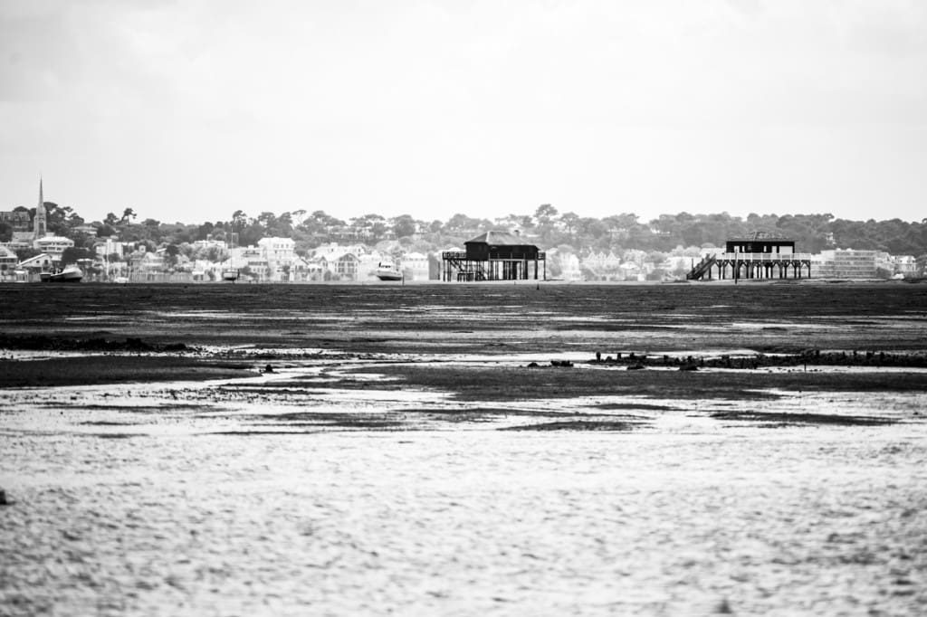 _GBM6789-2
