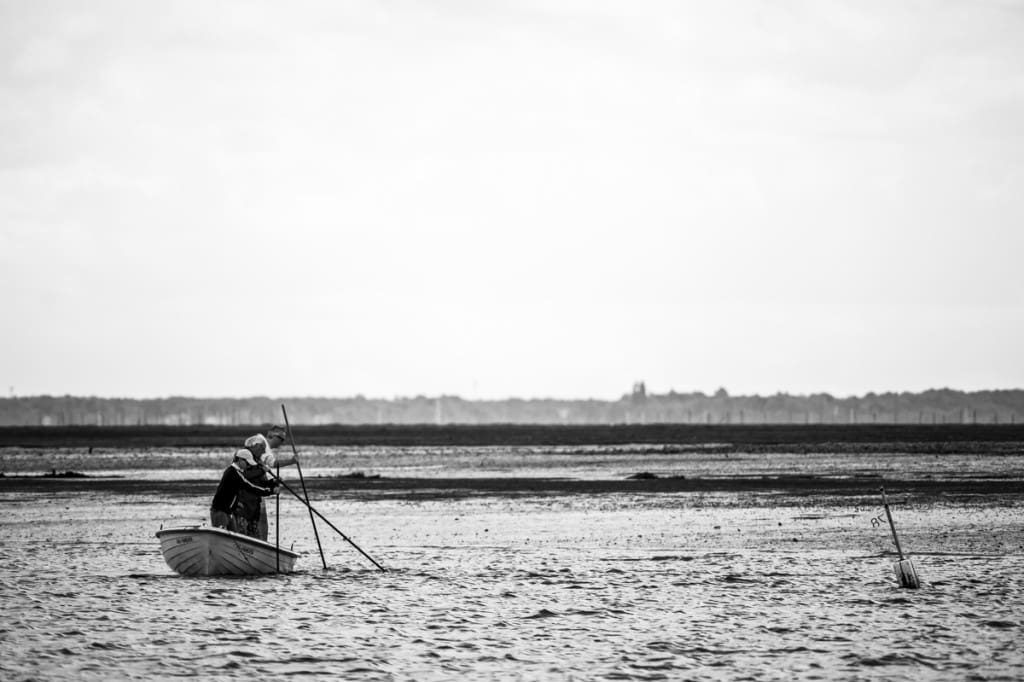 _GBM6796-2