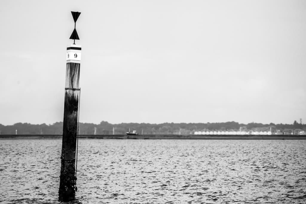 _GBM6848-2