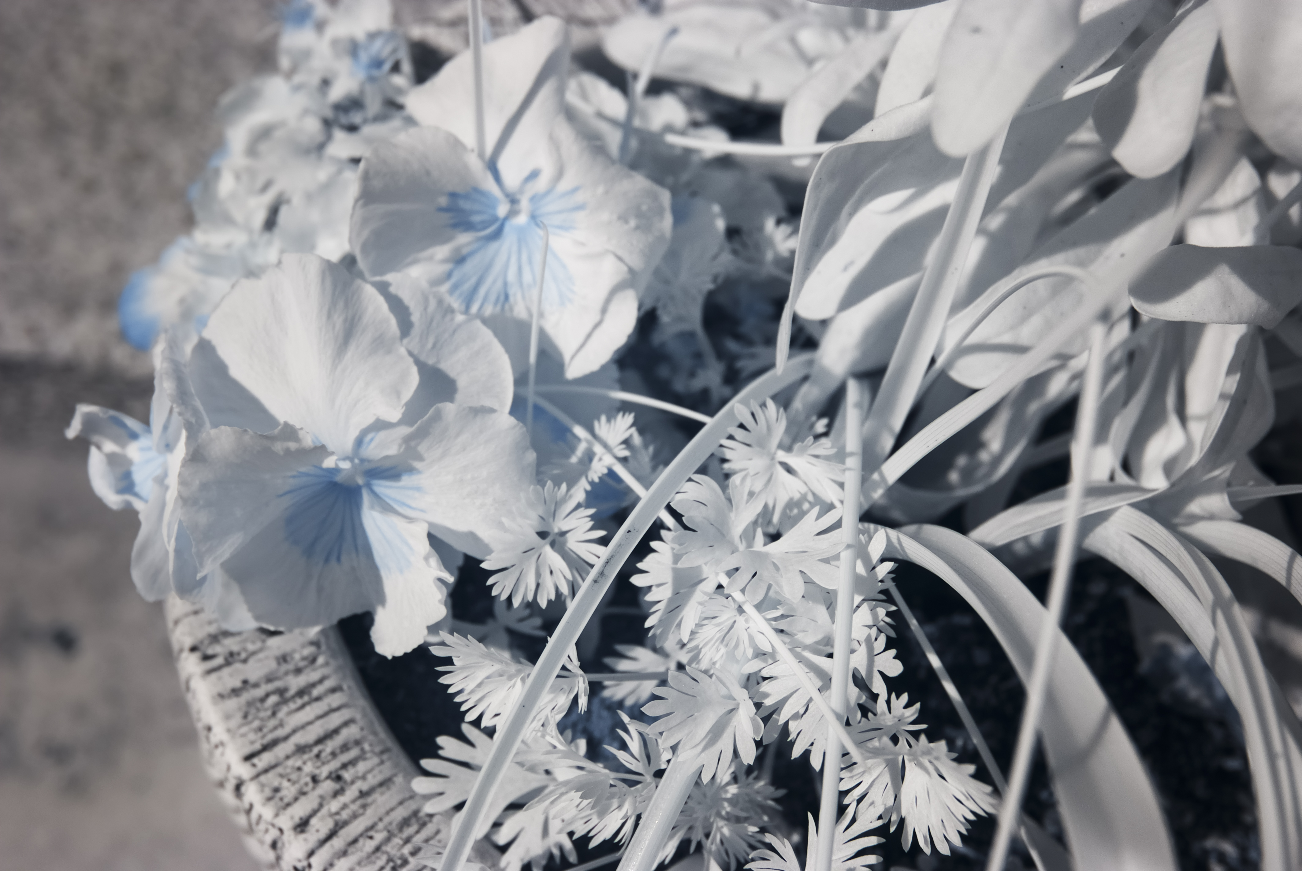 08032015-_DIR1677-Editar-2-Editar