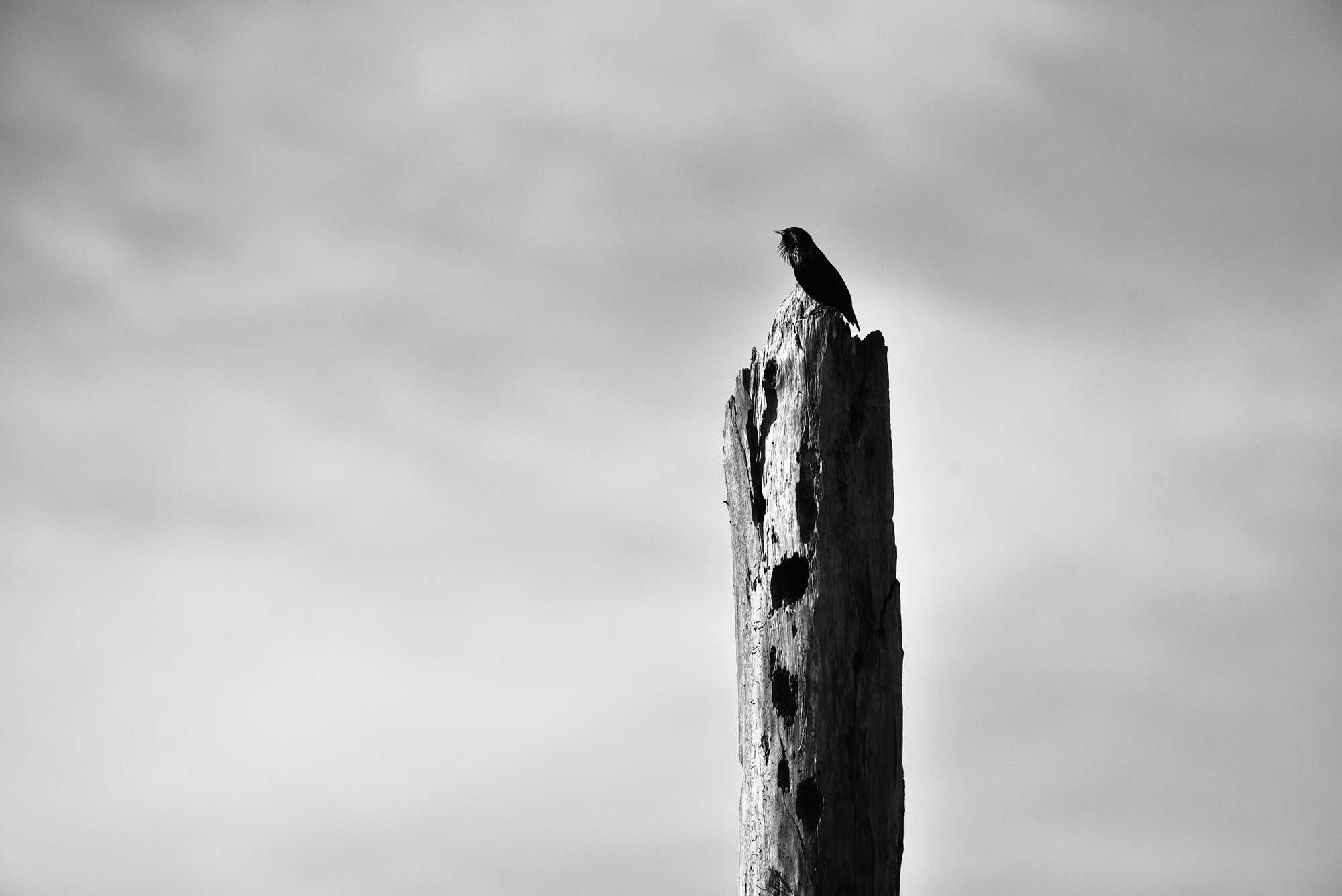09032015-_FTG6479