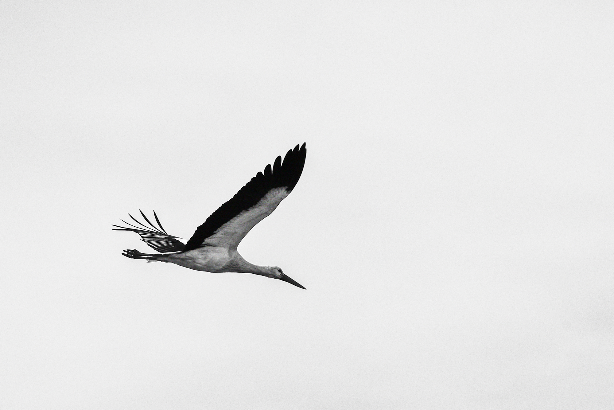 09032015-_FTG6482