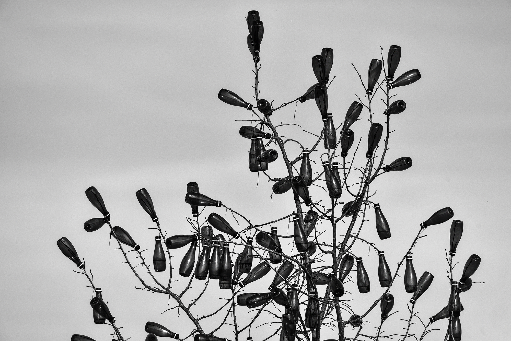 09032015-_FTG6493