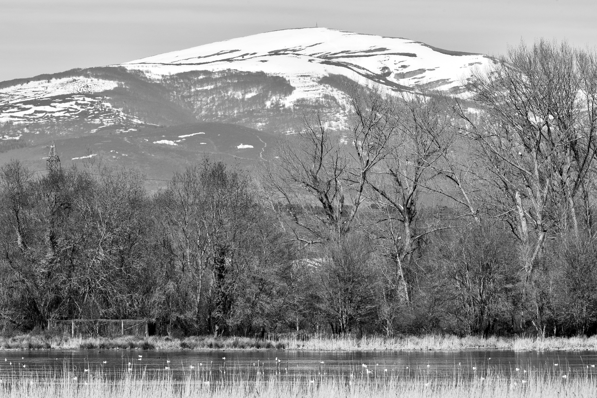 10032015-_FTG6684
