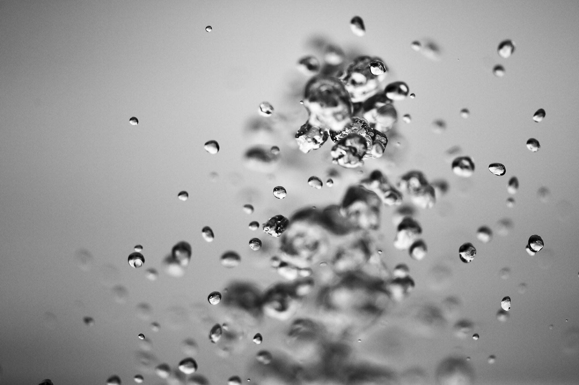 10062015-_FTG2170