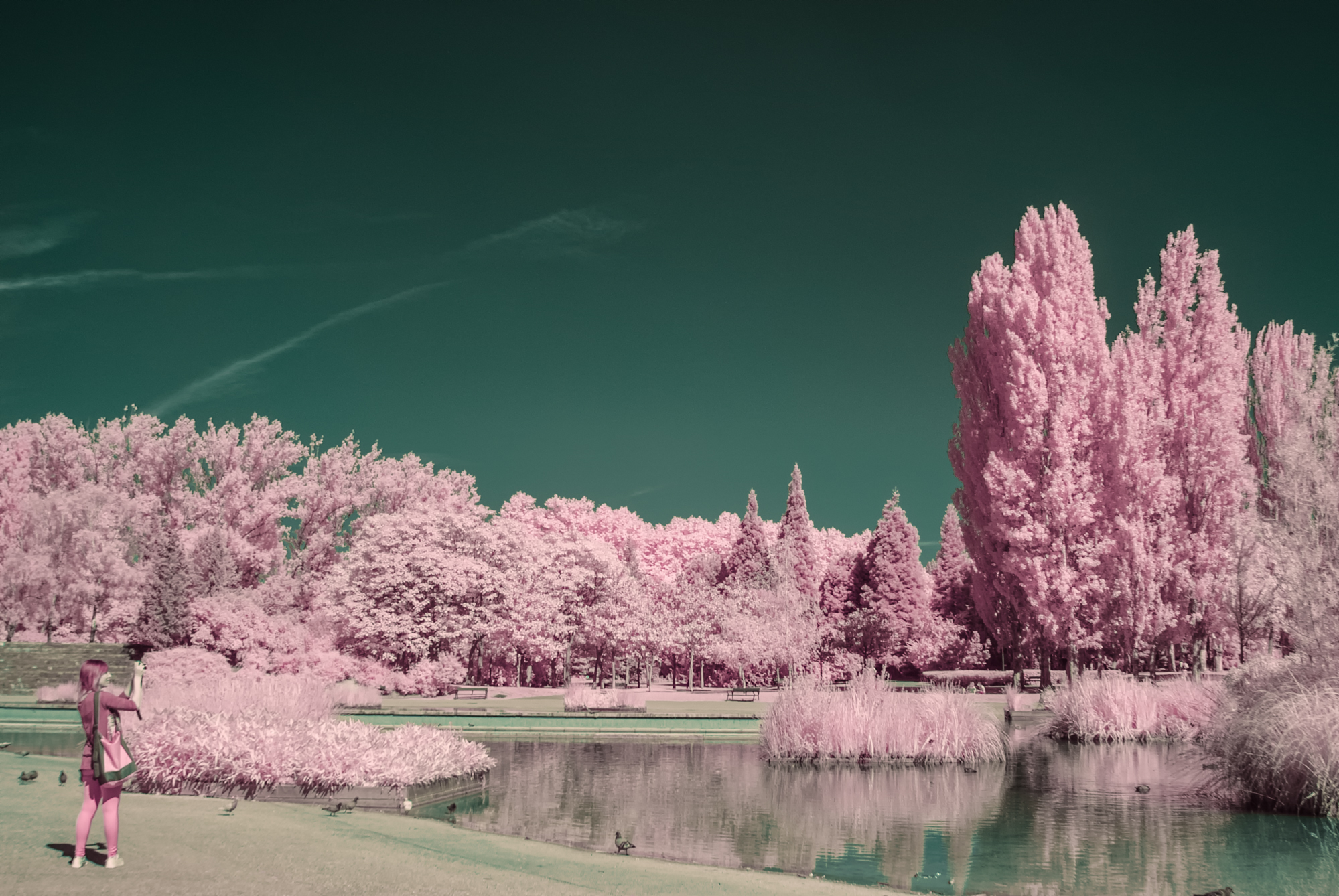 _DIR1794-Editar-Editar