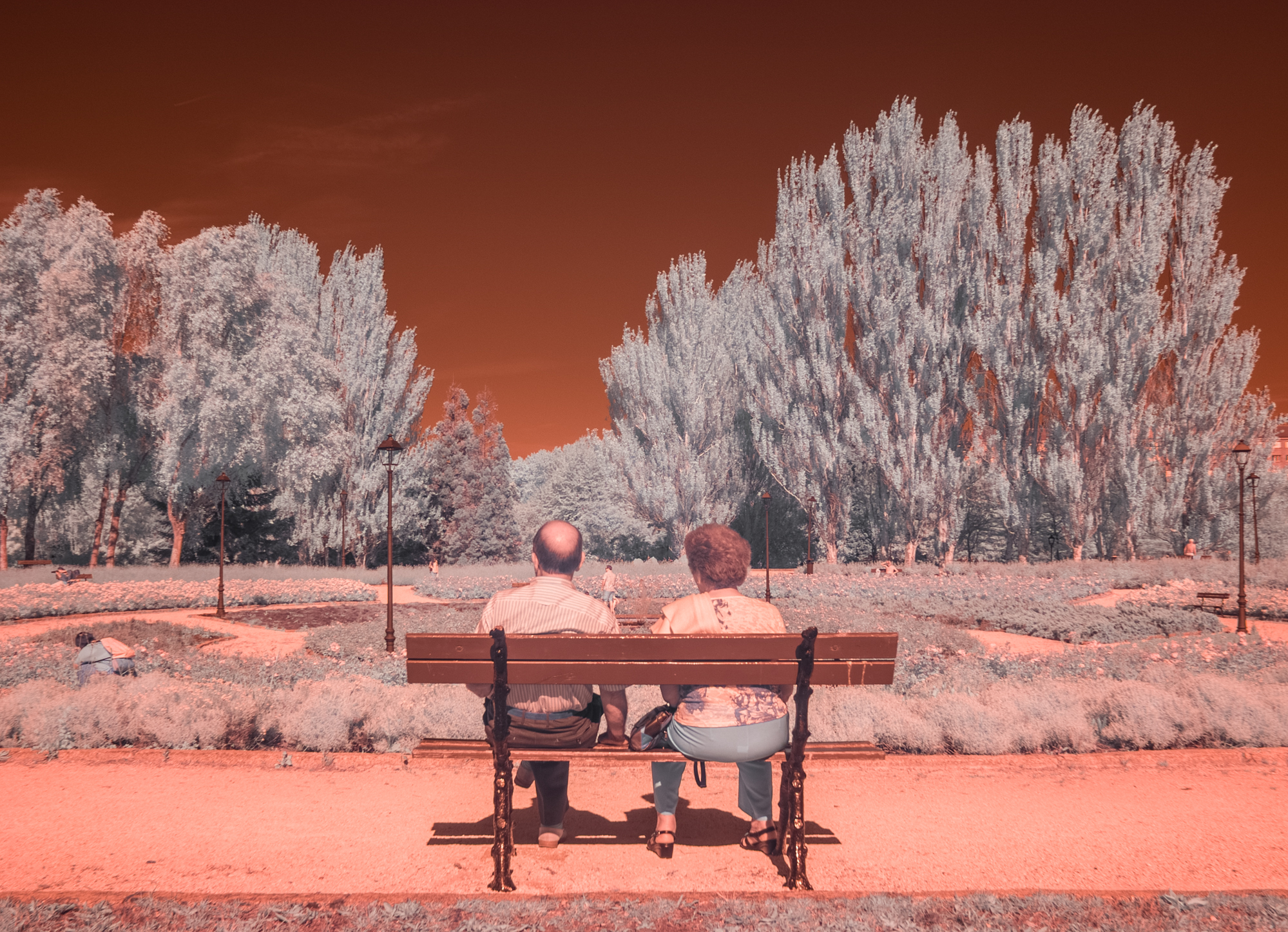_DIR1852