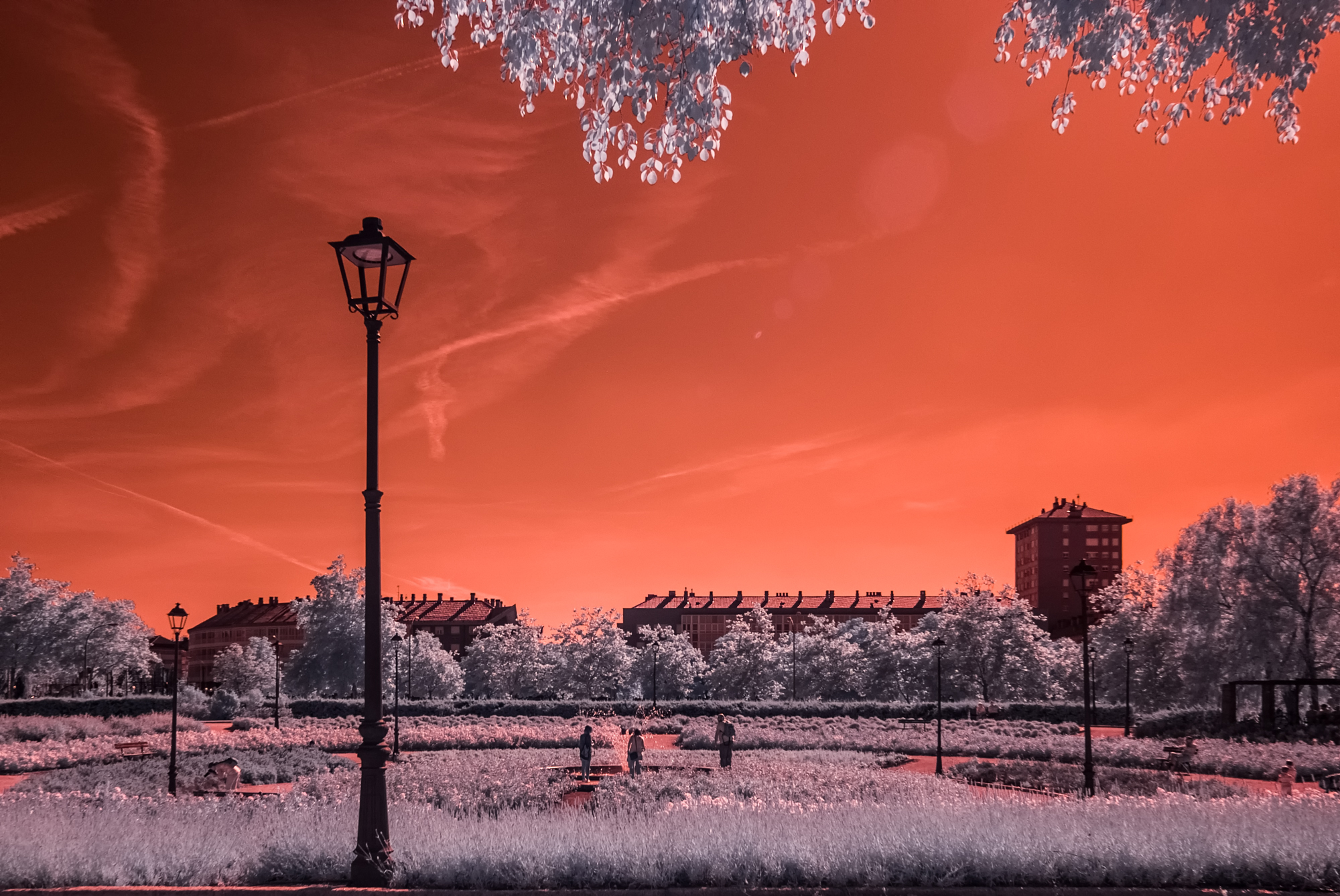 _DIR1876-Editar