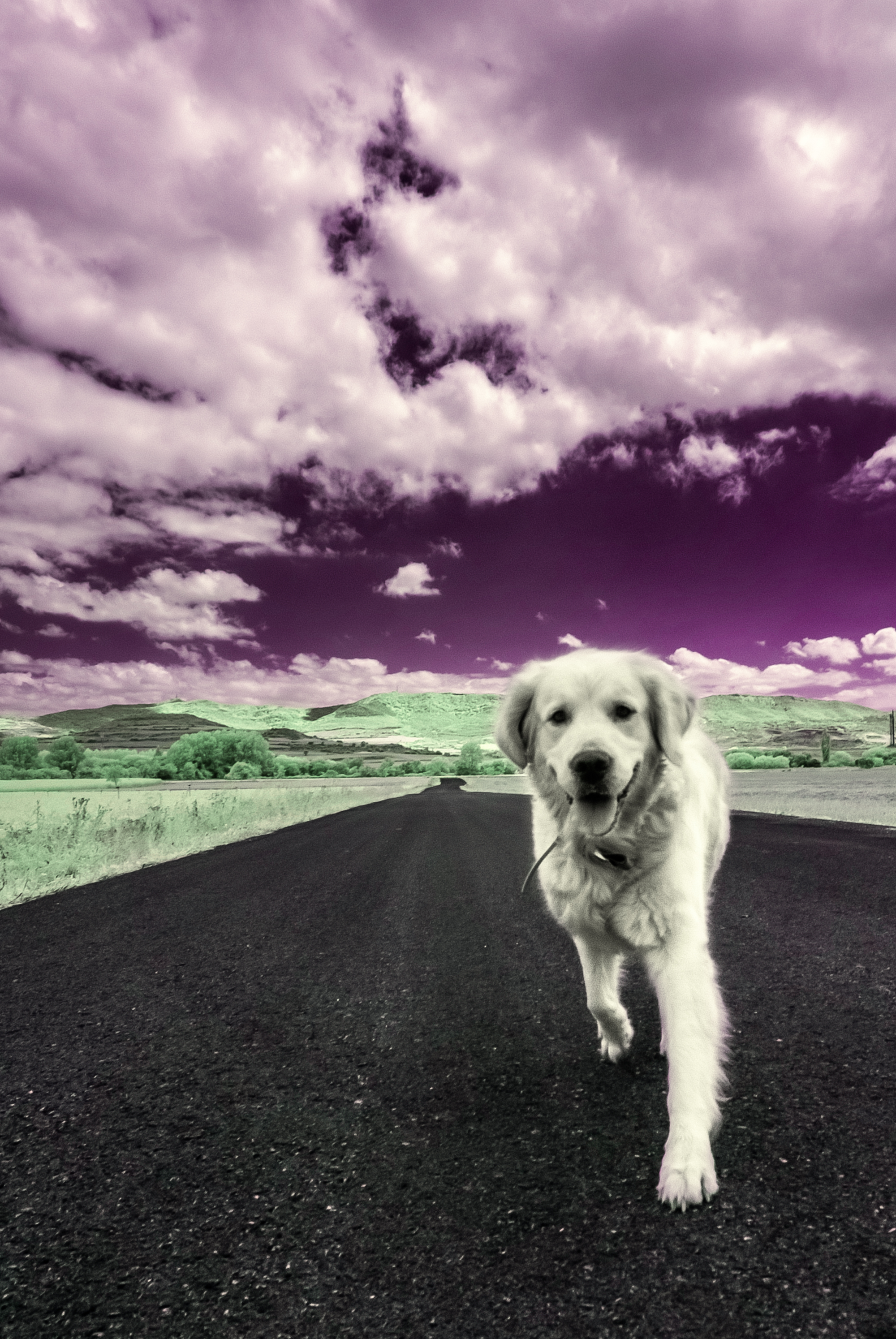 _DIR2233-Editar-Editar