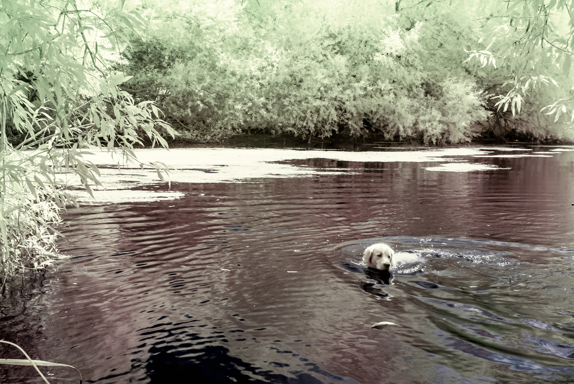 _DIR2343-Editar-Editar-Editar