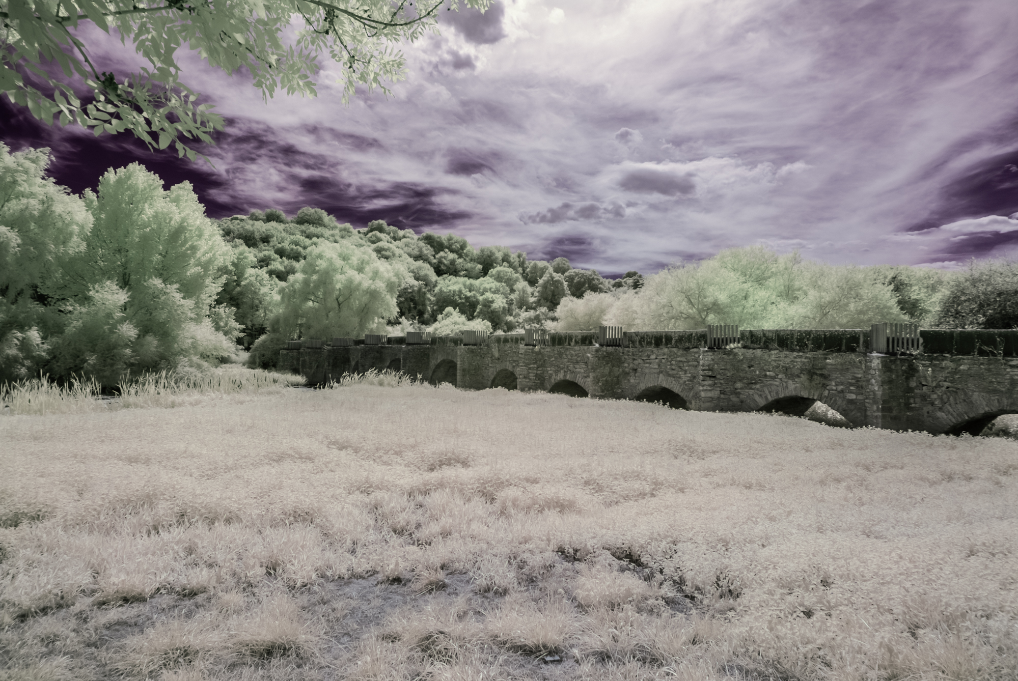 _DIR2352-Editar-Editar