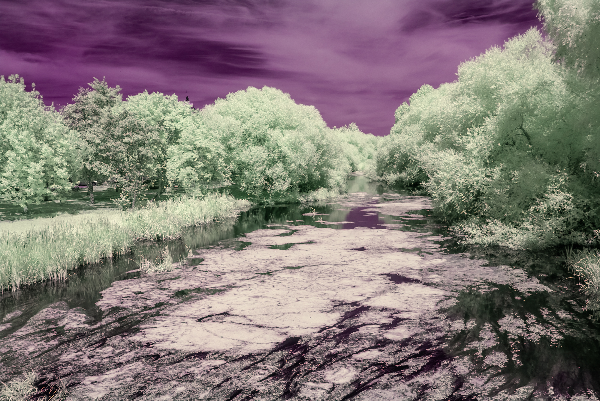 _DIR2376-Editar-Editar