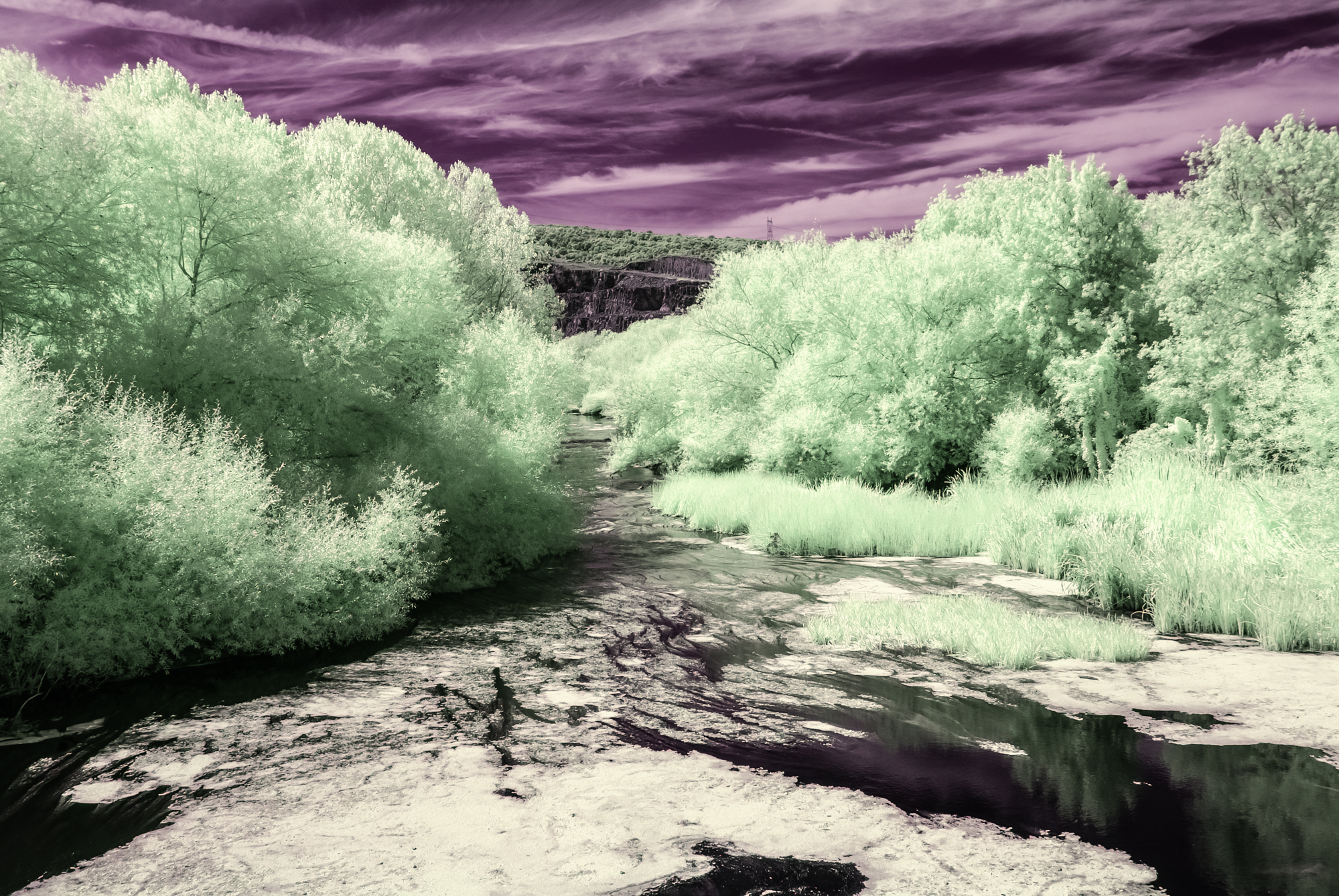 _DIR2377-Editar-Editar