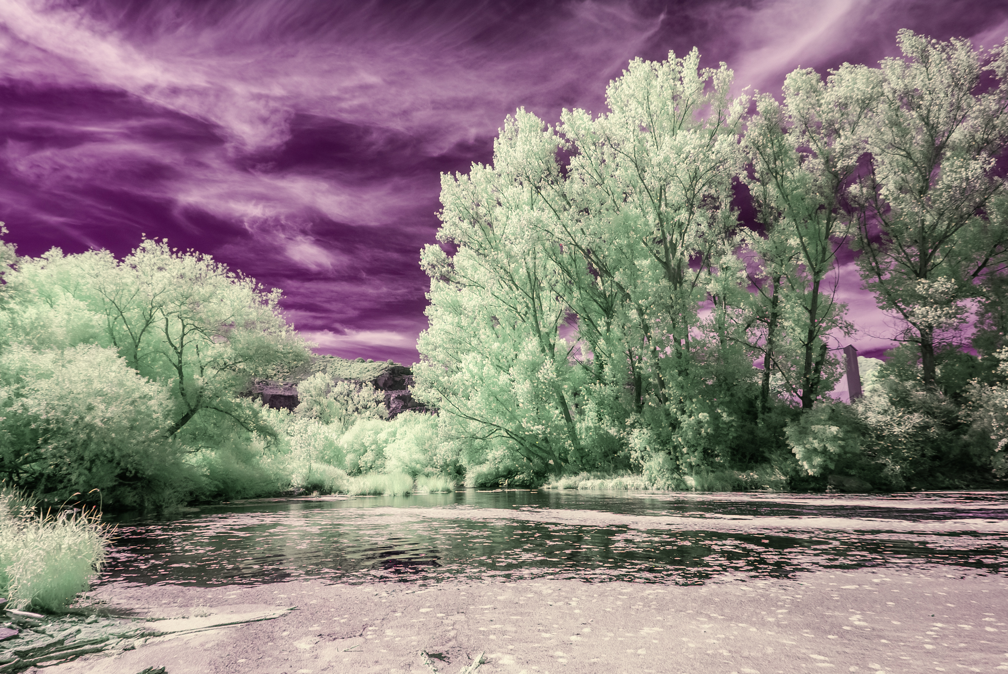 _DIR2396-Editar-Editar