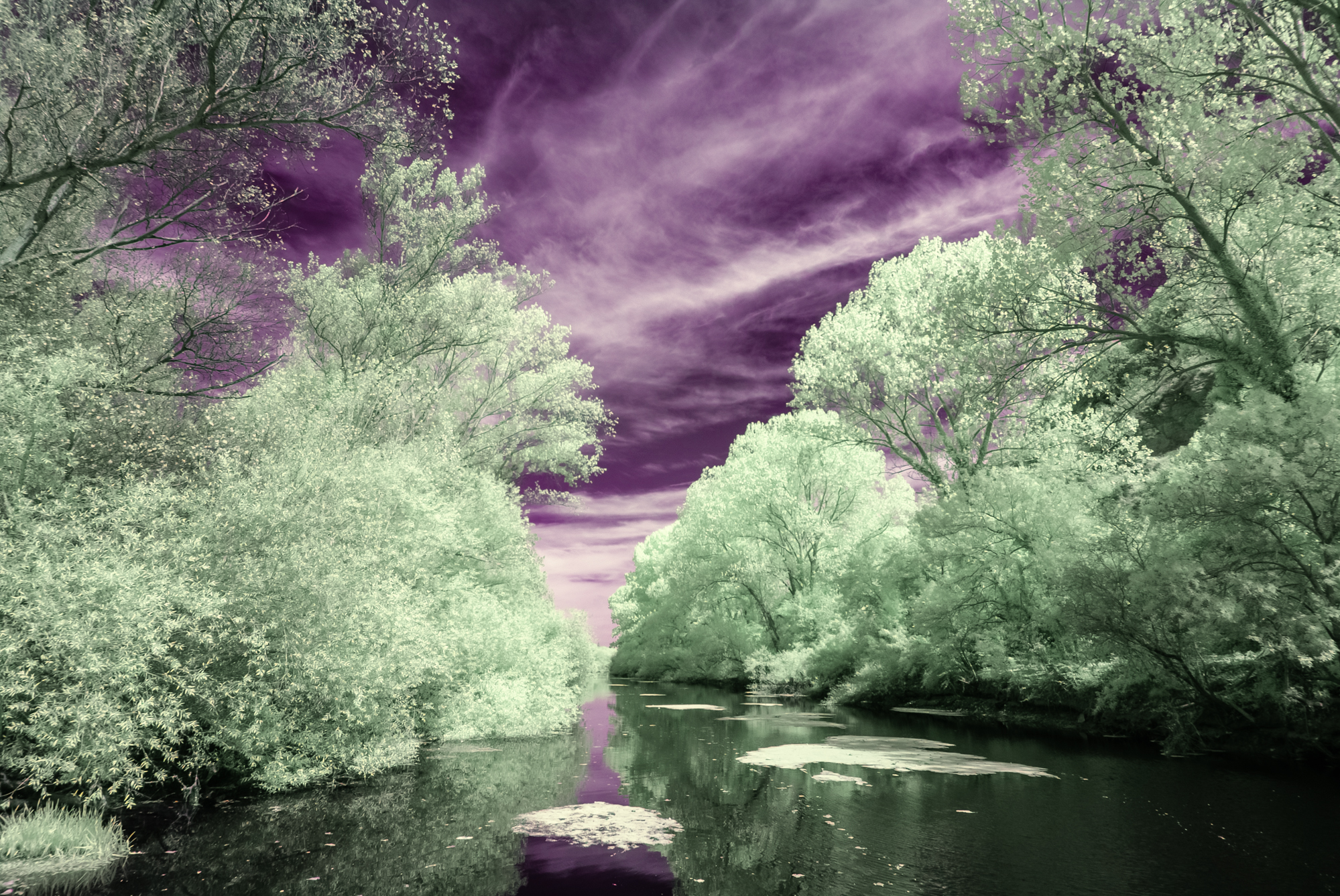 _DIR2412-Editar-Editar