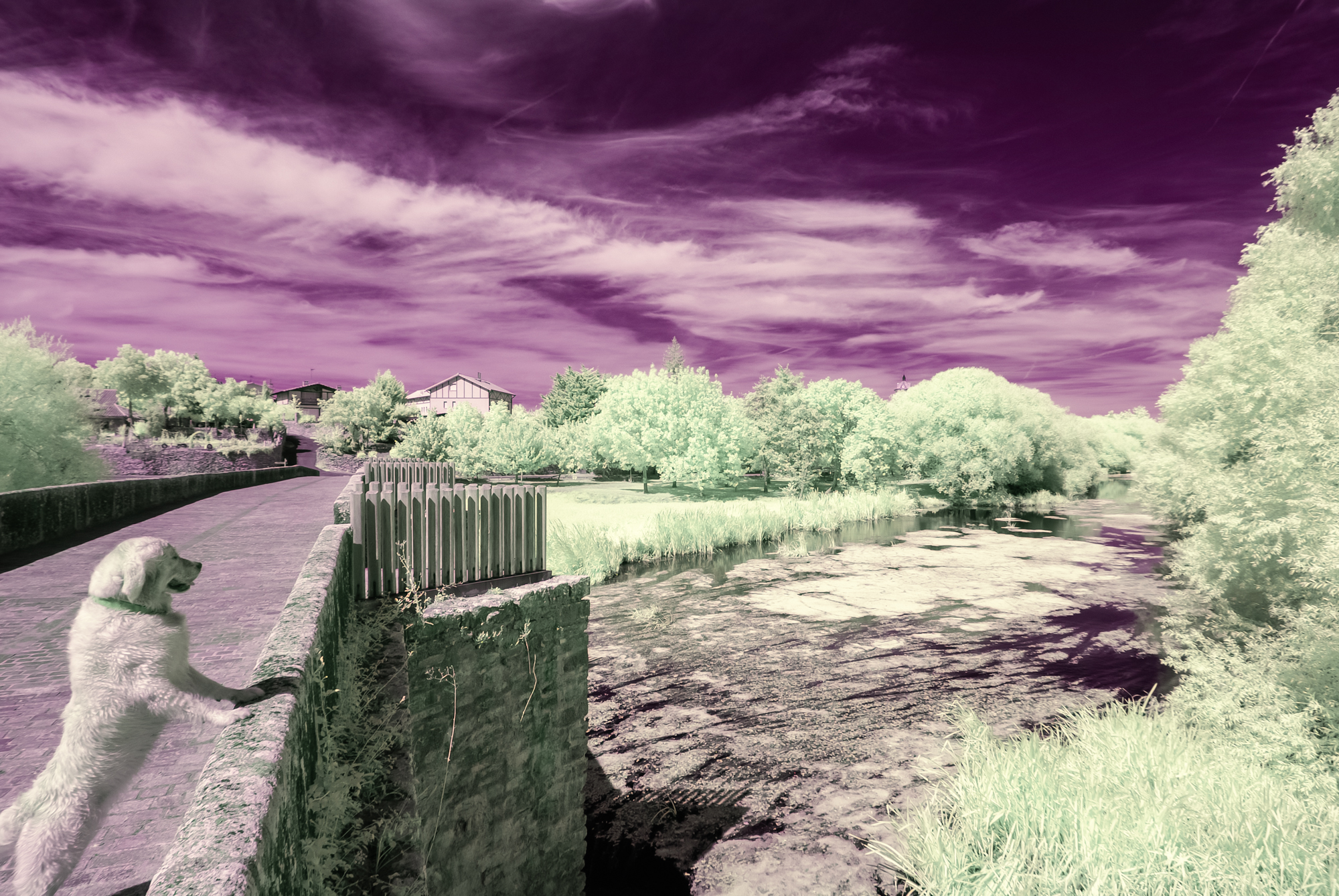 _DIR2455-Editar-Editar