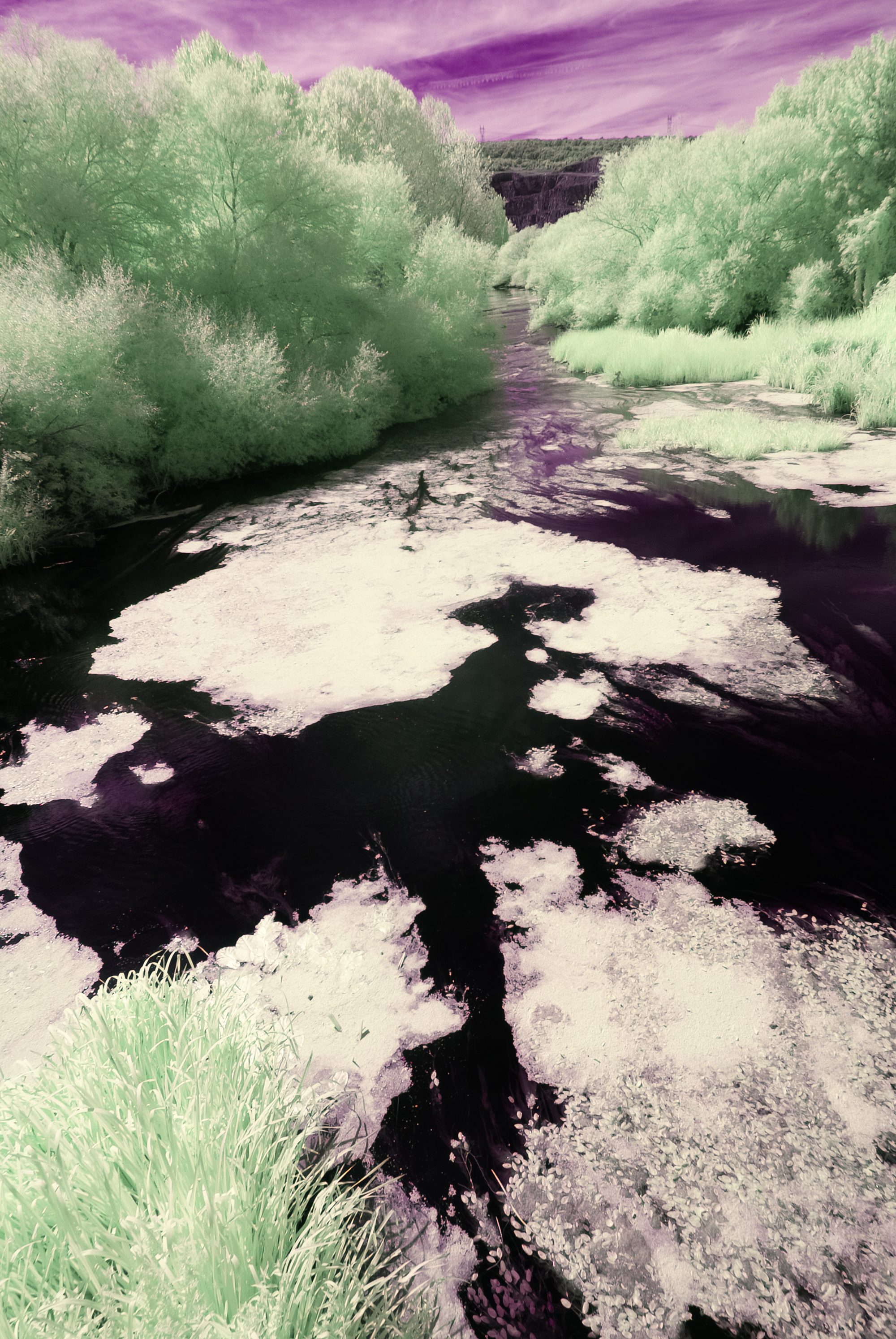 _DIR2459-Editar-Editar