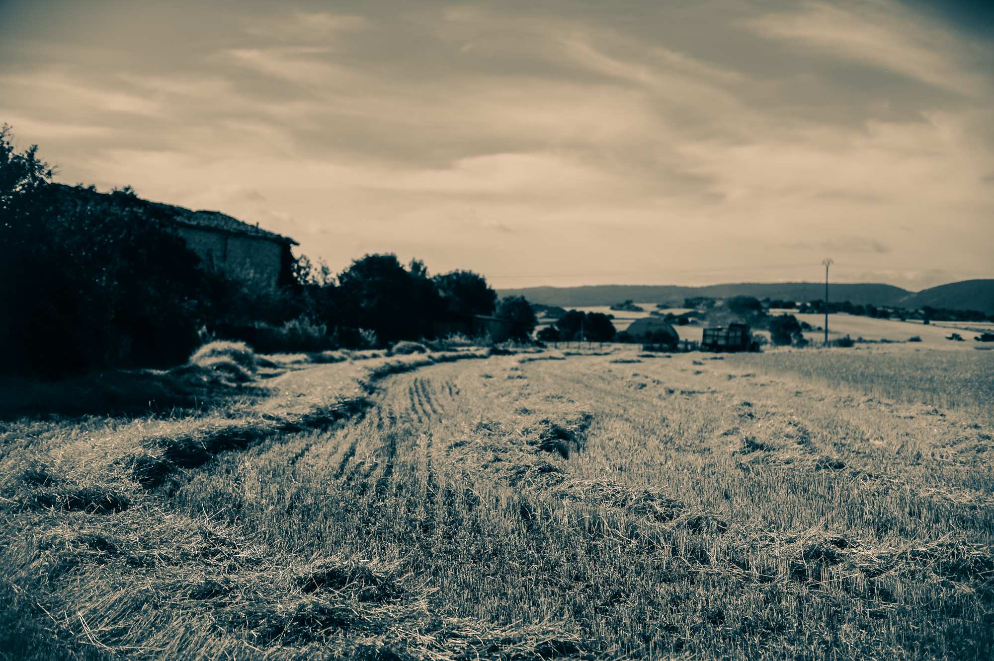 _FTG7952
