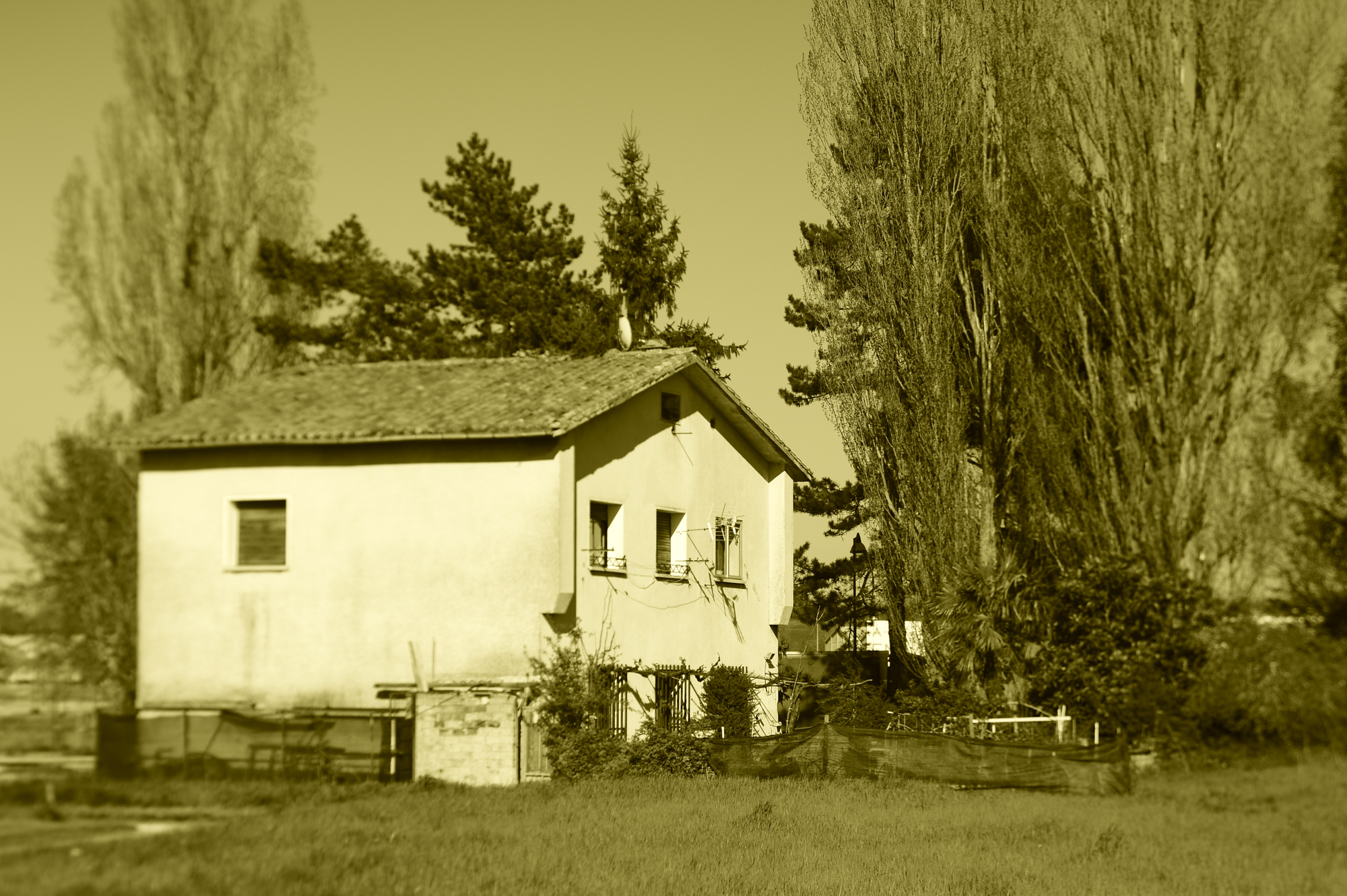_FTG8823