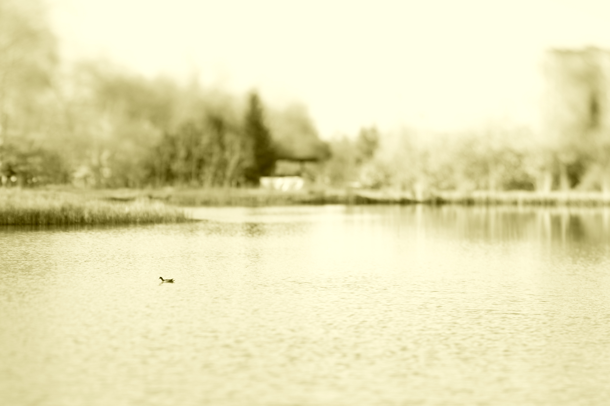 _FTG8861