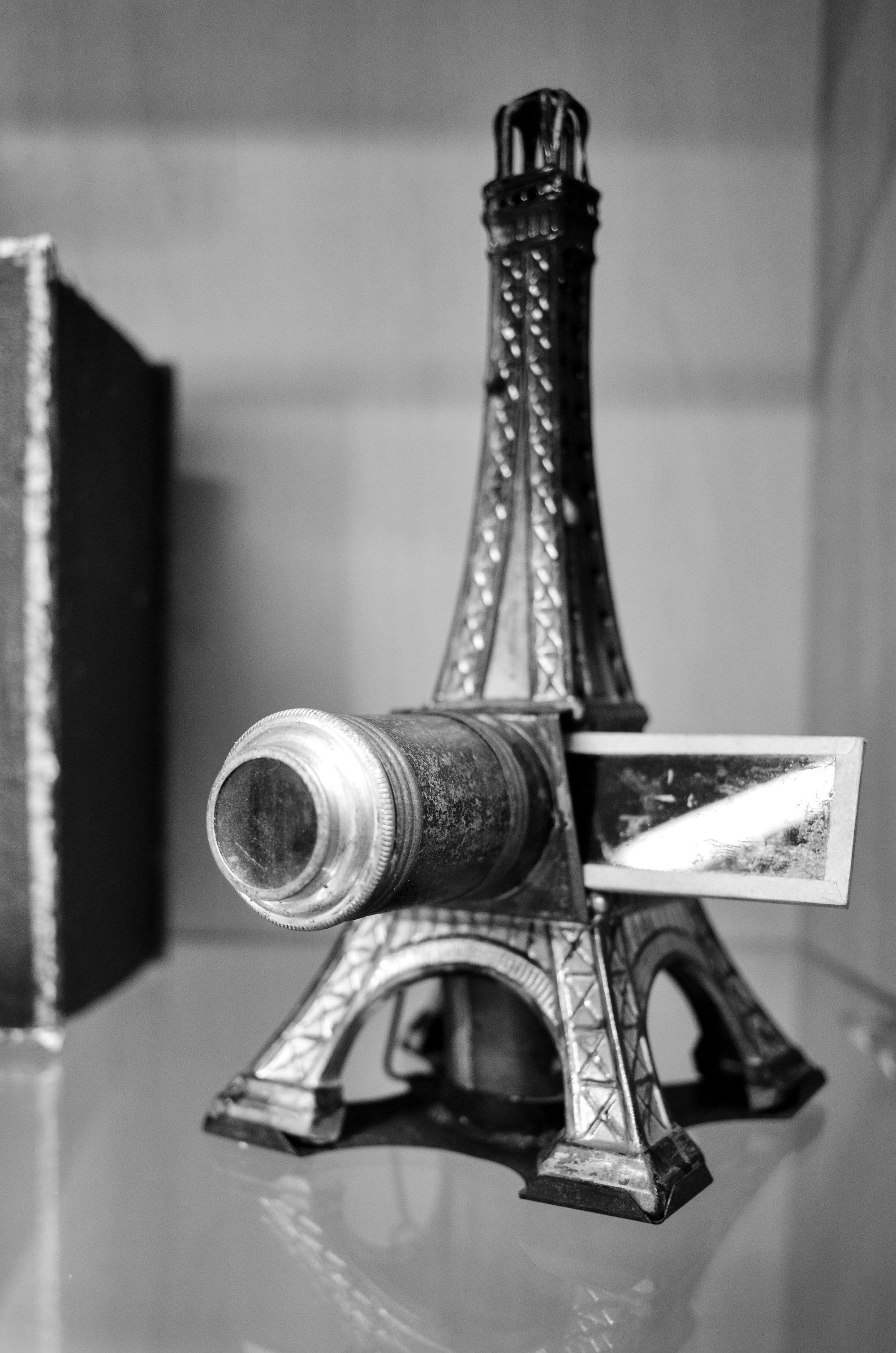 _DSC1906