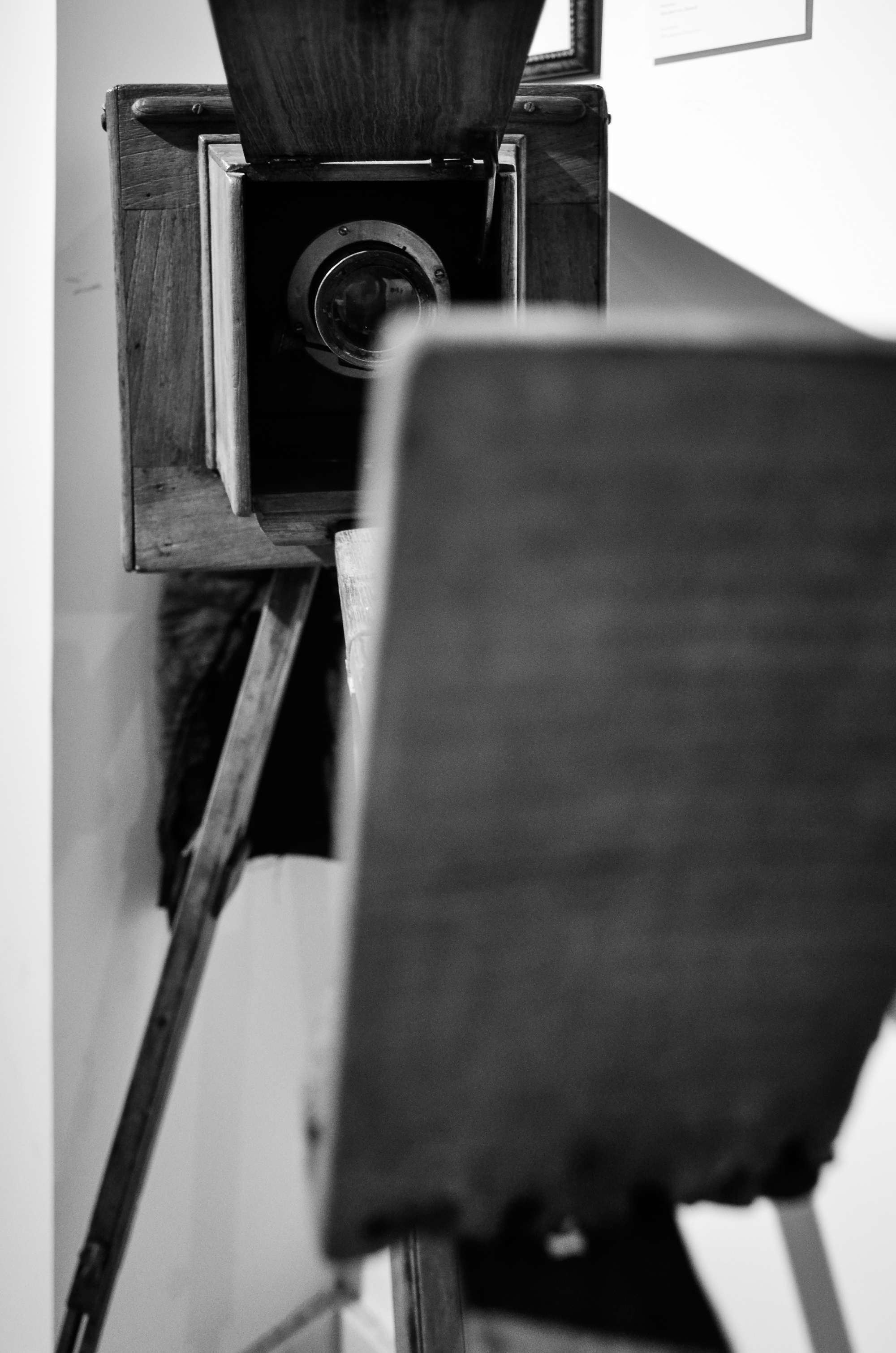 _DSC1914